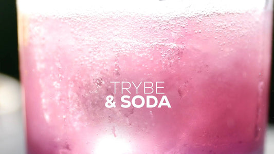 TRYBE & Soda